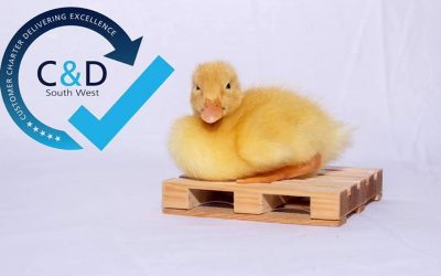 🐣Easter Operations and Services 🐣